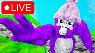 ONLY UP LIVE!  (SUB = CHICKEN JOCKEY) #gorillatag