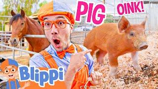 Old Macdonald Song! | Blippi Animals | Children Songs | Educational Videos for Kids