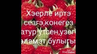 Яле иркәм