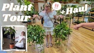 Super Exciting Houseplant Shop Tour + Haul!! Lets Go Plant Shopping Together & Repot!