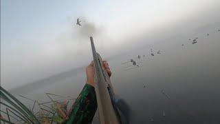 Three man limit in the Florida everglades Duck Hunting