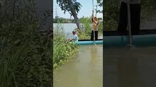 Banjir daerah Sumpiuh Banyumas #shorts