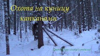 Охота на куницу капканами. Малый путик. Соболь в КП-120 для ящика от СУАС