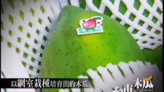 台灣之美-台東木瓜