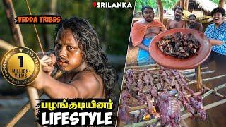 Tribes in Srilanka Inside Forest - Irfan's View