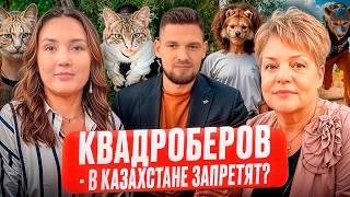 Родителей КВАДРОБЕРОВ будут НАКАЗЫВАТЬ?/ Чем ОПАСНО новое увлечение детей?