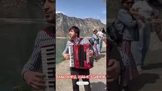 Магомед Шамсудинов