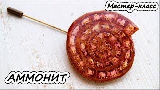 Брошь "Аммонит"  Полимерная глина  Мастер-класс  Polymer clay tutorial