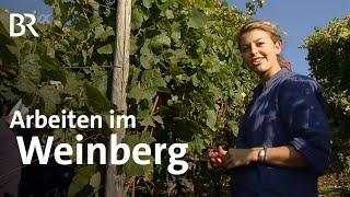 Winzer/-in | Ausbildung | Beruf | Ich mach's | BR