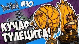 КОГДА ТУЛЕЦИТА МНОГО! |30| Don't Starve [Hamlet, SW, RoG]