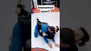 Запрещено?  #bjj