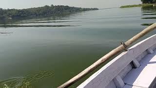 Paddle Boating on a Calm lake