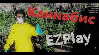 #DayZ​​ DayZ - Выращивание Канабис  | EZPlay