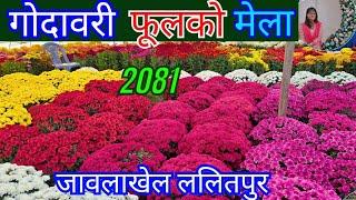 17th Chrysanthemum Flora Expo 2024 || गोदावरी फूलको मेला|| Jawalakhel