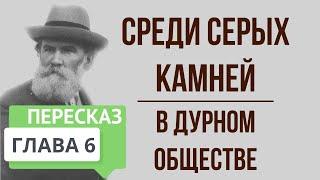 В дурном обществе. 6 глава. Среди серых камней. Краткое содержание