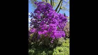 GO OUTSIDE, GET SOME SUN & TOUCH SOME PLANTS (BUT NOT THE POISONOUS ONES)