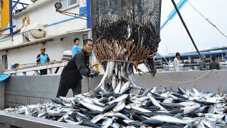 Fishing Ship: The Story of the World’s Biggest Fishing Ship that Caused Controversy