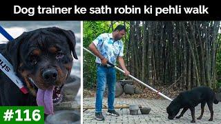 Dog trainer ke sath robin ki pehli walk | Peepal Farm Update #116