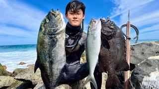 Spearing BIG FISH and RARE SPECIES From Shore! | Hawaii Spearfishing For Omilu, Knifejaw, And More