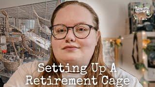 Setting up a retirement cage for my older rats