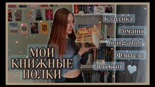  МОИ КНИЖНЫЕ ПОЛКИ // 100+ КНИГ 