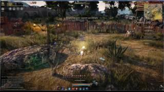 Black Desert Ответы на комментарии предыдущего видео о задротах