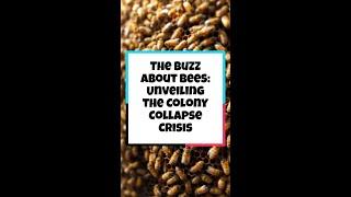 The Buzz About Bees: Unveiling the Colony Collapse Crisis