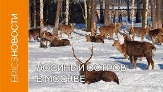 Лосиный остров в Москве