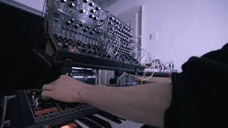 Acronycal Rising - Moog Semi-Modular live performance w/ Labyrinth & Spectravox, Matriarch