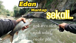 EDAN MANTAP SEKALI BEROTAN YA IKAN NILEM SUNGAI PROGO TEMANGGUNG @nopinpofishing