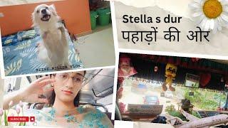 Stella s dur gao tk ka safar ️||Golden sparrow||️