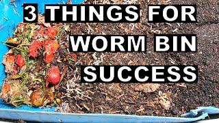 Worm Bin Success in 3 Steps- 55 Gallon Worm Farm Bin