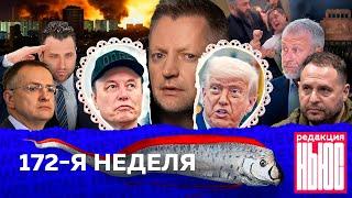 Редакция News: 172-я неделя