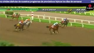 CARRERAS PANAMA HIPODROMO PRESIDENTE REMON PANAMA