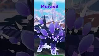 Muravil cos