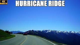 Driving Down Hurricane Ridge in Olympic National Park in Washington