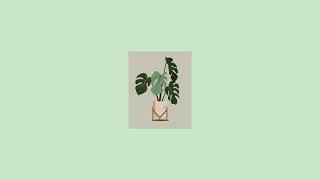 15 minutes screen for reading | mint green screen for smsrt tv | Asthetic illustrated screen