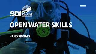 How To Do Common Scuba Diving Hand Signals - SDI Open Water Skills