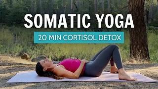 20 Min Cortisol Detox | Somatic Yoga To Release Stress