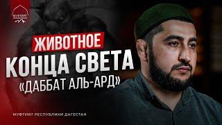 ЖИВОТНОЕ КОНЦА СВЕТА | "Даббат аль-Ард"