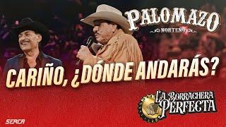 Raúl Hernández , Rosendo Cantú / Palomazo Norteño : Cariño, Dónde Andarás ( Video Oficial )