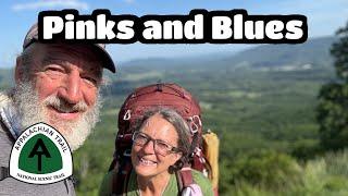 Pink Petals And Blue Ridges | Appalachian Trail Thru-Hike