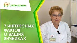  7 интересных фактов о ваших яичниках