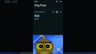 dog poop in chinese #whyareyoureadingthis #googletranslate