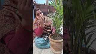 Puthe lagaye #funny #comedy