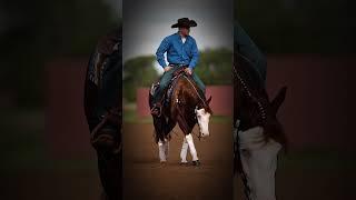 Choose Your Western Horse #tiktok #equestrian #horse #shorts #edit