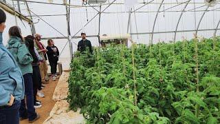 Inside Red Hawk Farms' Lush Greenhouses