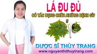 Lá đu đủ có những tác dụng chữa bệnh gì? Cách sử dụng lá đu đủ an toàn #papaya