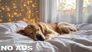 Calm music to relieve anxiety in dogs  12 hours for comfortable sleep #2