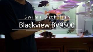 Blackview BV9500/BV9500 Pro Swims with Fish, Full Netcom IP68/IP69K rugged phone with 10000mAh